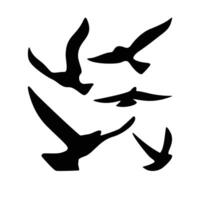 Silhouette bird fly vector illustration