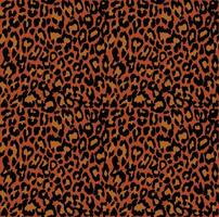 Pattern leopard seamless vector illustration background