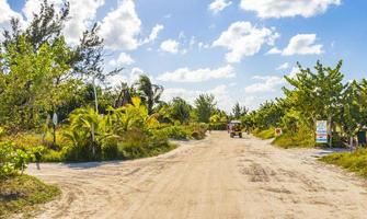 Holbox Mexico 22. December 2021 Sandy muddy road walking path and nature landscape Holbox Mexico. photo