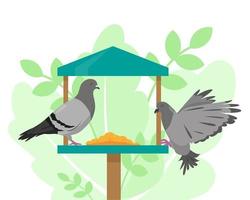 Doves on the bird feeder. vector