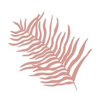 Palm leaf on a white background. Vector graphics. Hand drawn