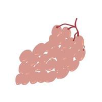 Boho hand drawn Grape isolated on white background. vector illustration.