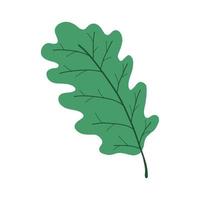 icono de ilustración de vector de hoja de roble en diseño de dibujos animados, dibujado a mano