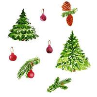 Christmas trees on a white background. Fir branches with cones. Watercolor sketch. photo