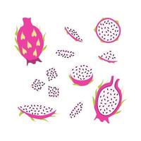 Pitaya in different forms, dragon's eye. Vector elements for design.