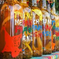 Assortment of rhum bottles at the market, squared format photo