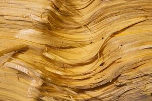 Wood abstract texture. Surface grunge backdrop. Dirty wooden effect pattern. Material background. photo
