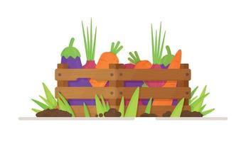 Vector illustration of harvesting in a vegetable garden. Mesh eco bag full of vegetables isolated on white background.