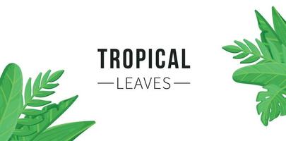 Tropical flowers concept with monster palm leaves, plumeria.  Vector illustration of a tropical background.
