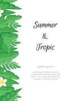 Tropical palm leaves, jungle leaves on white background. Vector illustration of summer leaves background.