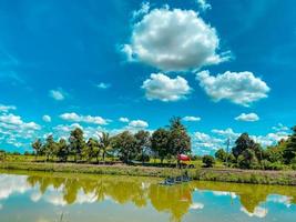 el cielo azul y la atmósfera junto al estanque de peces foto