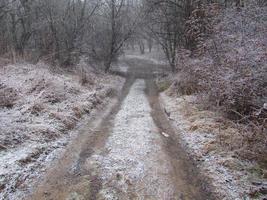 camino embarrado en bosque blanco cubierto de nieve fresca. foto