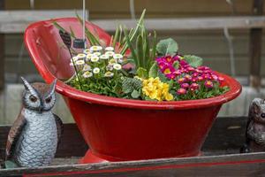 macetas de flores al aire libre para un pequeño jardín, patio o terraza, de cerca. foto