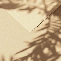 Abstract background for presentation, beige envelope and sunlight, tropical plants shade on top. 3d rendering photo