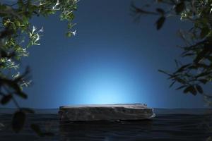 Black stone slab on water and highlight on blue background. Blur plants foreground. Mockup background for product presentation or ads. 3d rendering photo