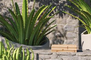 Wooden platform on brick wall, tropical plants foreground and background. abstract background for presentation. 3d rendering photo