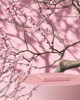 plataforma rosa en rama y fondo de árbol de sakura, sombra de sombrilla en la pared. fondo abstracto para la presentación de productos o anuncios. representación 3d foto