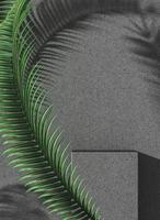 Minimalist mockup background for product presentation, gray terrazzo podium and palm leaf, sunlight and palm leaf shade on terrazzo wall. 3d rendering photo