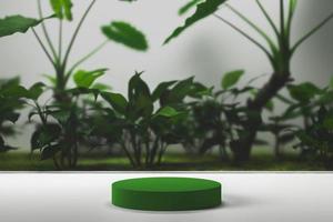 Green circle base on white, blurred glass background and plants, abstract scene mockup for branding and presentation. photo