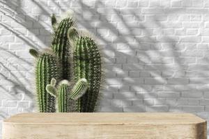 The wooden platform for product presentation, Cactus and white brick wall background, Tropical plants shade on background. 3d rendering photo