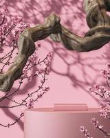 Pink platform on branch and Sakura tree background, sunshade shadow on wall. abstract background for product presentation or ads. 3d rendering photo
