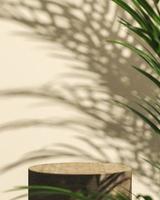 The wooden cylindrical platform on beige background, Blur tropical plants foreground and shade on background, Abstract background for product presentation. 3d rendering photo