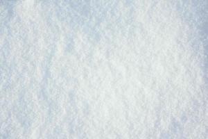 background of the texture of white cold snow photo