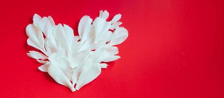 Heart made of white flower petals on red background. Valentines day concept. photo