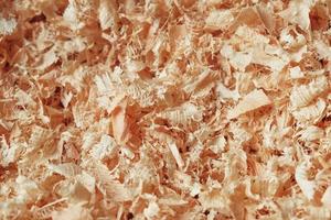 Wood shavings as background texture. Copy, empty space for text photo