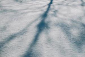 Shadow from a tree in the snow. Shade of tree silhouette on a snow. Copy, empty space for text photo