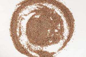 Buckwheat as a background texture in the form of a circle on a white background photo