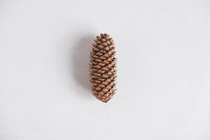 One pine cone on a white background. Top view. Copy, empty space for text photo