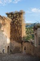 Ancient ruins with tower covered of vine plants at Santa Maria de Rioseco, Burgos, Spain photo