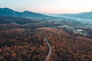 paisaje de montaña y árboles en la mañana de otoño foto