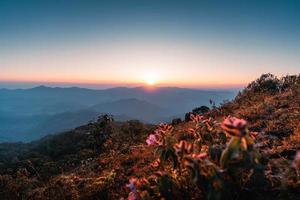 the sun rises on the mountain in summer photo