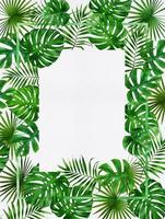 frame of tropical leaves watercolor photo