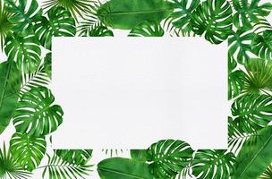 frame of tropical leaves watercolor photo