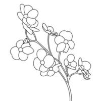 flower coloring page for book with line art design of black and white outline elements vector