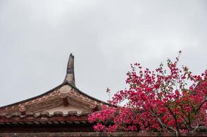 The roofs and eaves of traditional Chinese Temples photo