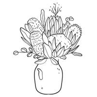 Bouquet in a linear style of proteas with eucalyptus in a vase. Sketch, modern art. vector