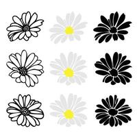 conjunto de elementos de clipart florales de margarita dibujados a mano vector