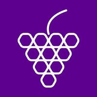 geometric lines grape fruit logo design vector icon symbol illustration