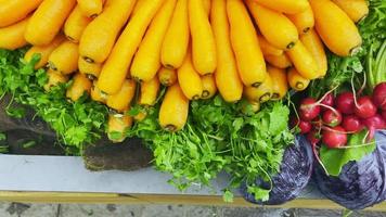 frische Bio-Karotten, Petersilie, Rüben und Salat video