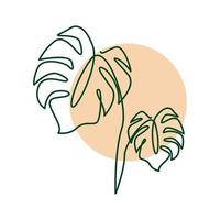 beautiful plant lines monstera logo vector symbol icon illustration design