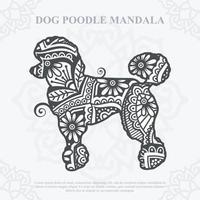 perro caniche mandala. estilo boho svg vector