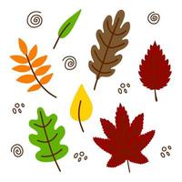 Vector hand drawn Autumn leaves set isolated on white background. Decorative doodle leaves. Cartoon scribble leaf icon for wedding design, wrapping, textiles, clothing, ornate and greeting cards