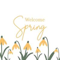 Vector illustration of snowdrops with spring lettering. Welcome spring. Pretty springy postcard.