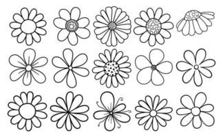 Hand Drawn Doodle Daisy Flowers vector