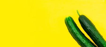 fresh young early cucumbers isolated on a yellow background with a blank space for your text photo