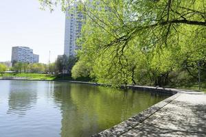 Big Konkovsky pond in early spring. Flowering trees. photo